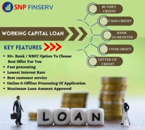 snp finserv working capital loan